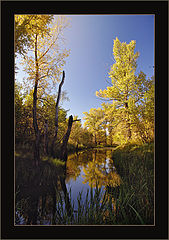 photo "***"