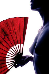 photo "Ombre Chinoise"