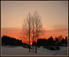 photo "Cold sunset"