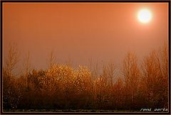 фото "good morning Belgium"