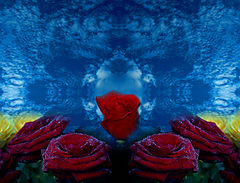 photo "***"