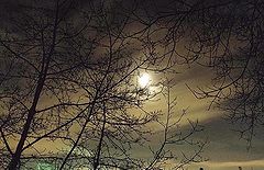 photo "***"
