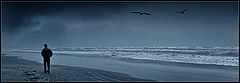 фото "..."