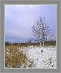 фото "Уголок природы"