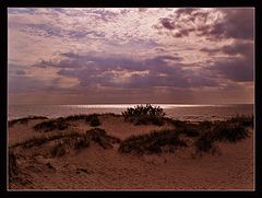 photo "To light."