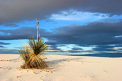 фото "Before Sunset"