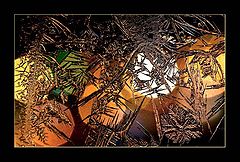 фото "***"