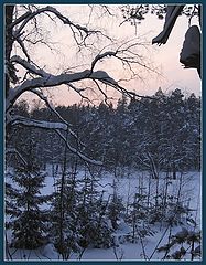 photo "Winter's sentry."