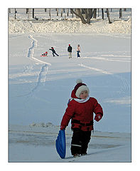 photo "Snow games."