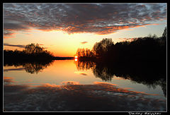 фото "Бабочка"