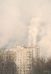 фото "Пытаемся согреться"