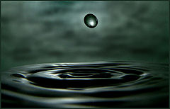 photo "***"