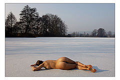 фото "Sleeping on Ice"
