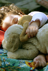 photo "sleep"