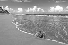 photo "Dominikana 12"