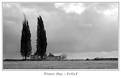 фото "Winter Day"