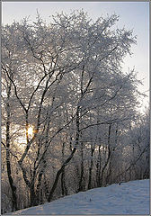 photo "Winter fairy tale!!!"