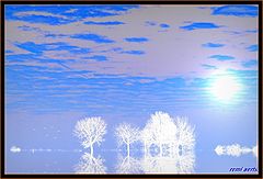 фото "reflection"