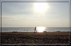 photo "Going to The Sun"