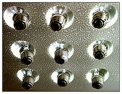 photo "9 eyes looking at you ..."