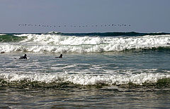 photo "About sea"