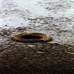 фото "an abandoned shoe"