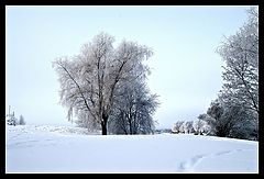 фото "Winter morning"