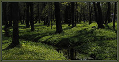 photo "***"