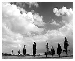 фото "Winter Day #2"