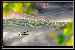 photo "***"