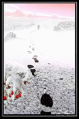 photo "***"