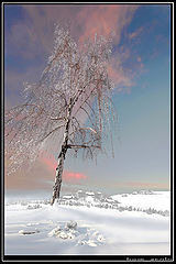 photo "***"
