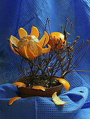 photo "tangerine tree"