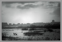 photo "***"