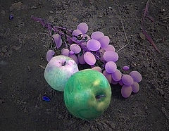 photo "***"