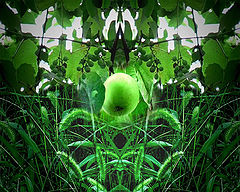 photo "***"