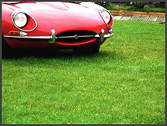 photo "Cars-2"