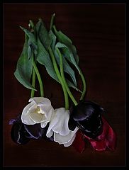 photo "Happy Valentine's day!"