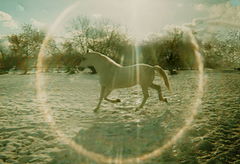 photo "***"