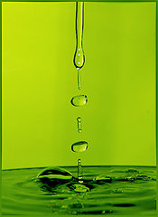 photo "***"