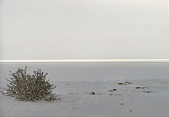 фото "море зимой"