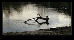 photo "***"