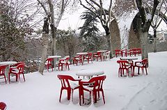 photo "Red and wite"