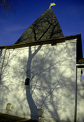 photo "tree"