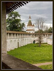 фото "Взгляд со стены"