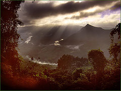 фото "."
