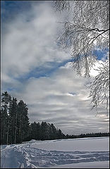 photo "*"