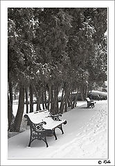photo "snow"