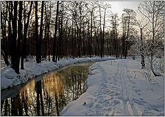 фото "На закате зимнего дня"