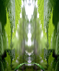 photo "***"